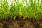 Gorriesub-soil-drainage-6.jpg; ?>